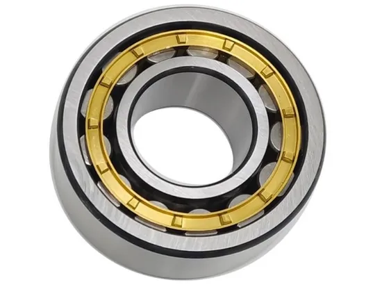 Rnu1014m 292114h 80*110*20mm Drilling Rigs Cement Rolling Part Cylindrical Roller Bearing 