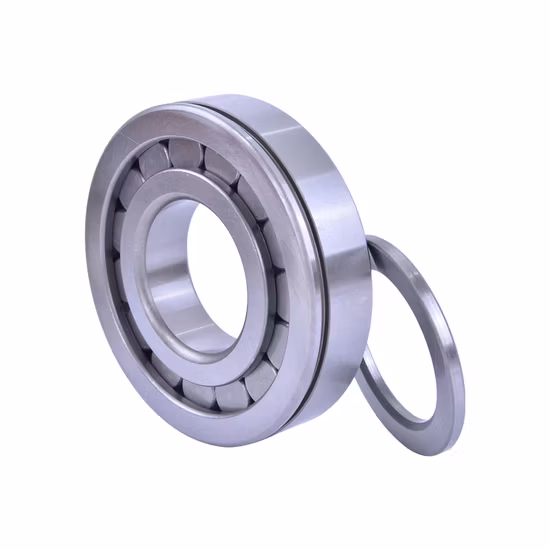 Hot Sale Gearbox Bearing 524625 539090m 512533 Cylindrical Roller Bearing with High Quality