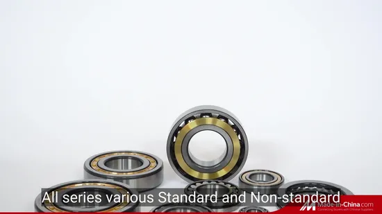 Cylindrical Roller Spherical Roller Angular Contact Tapered Roller Deep Groove Ball Bearing 